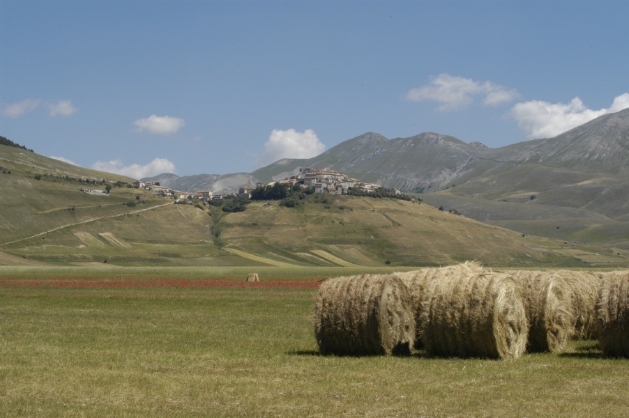 Norcia - Arredamento - Regali LIste di Nozze Umbria, sedia, forchetta, valnerina, Accessori per la casa, Millerighe  , Lista di Nozze, regali per matrimoni, Accessori di arredamento